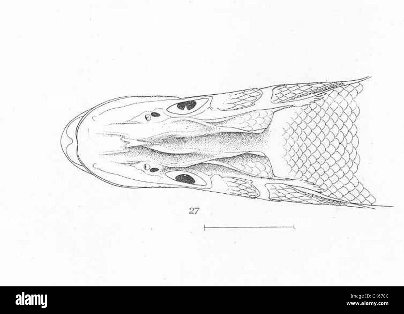 Bocourt High Resolution Stock Photography and Images Alamy