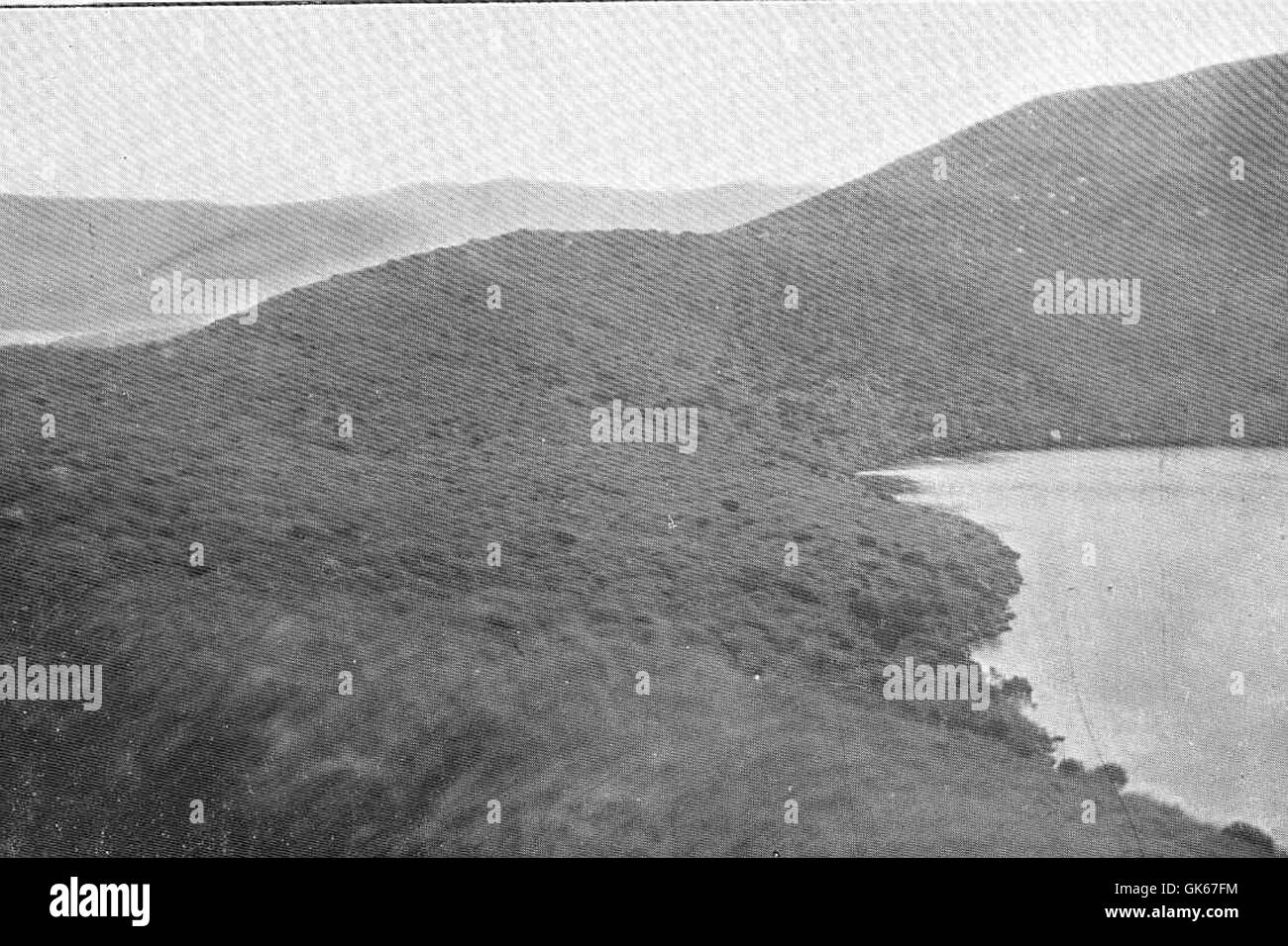 50807 Small Lake, with old Lateral Moraine, Coleridge Bay Stock Photo