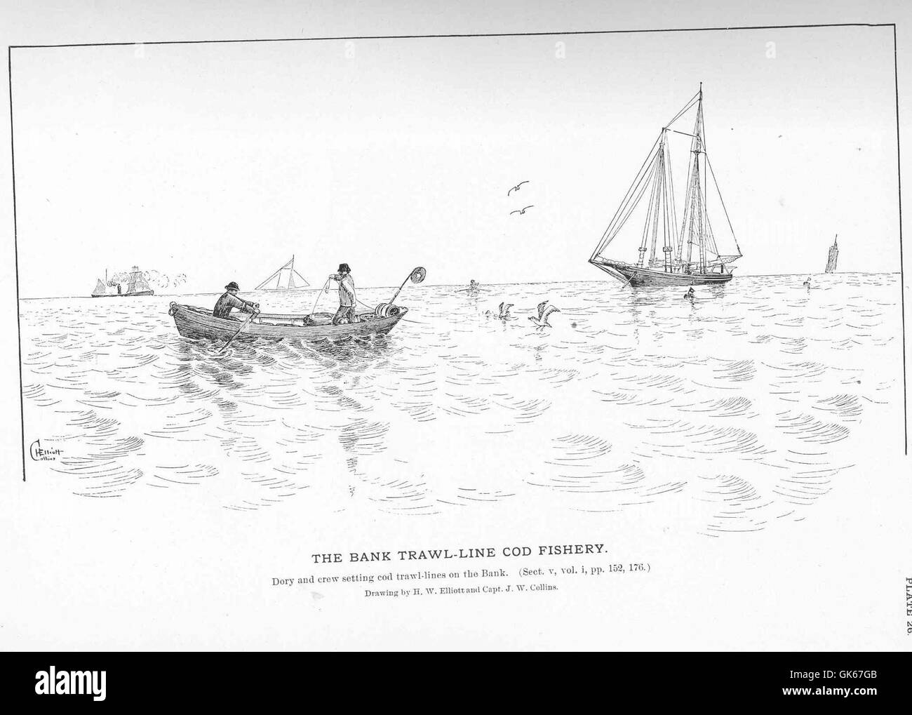 50823 Bank Trawl-Line Cod Fishery Stock Photo - Alamy