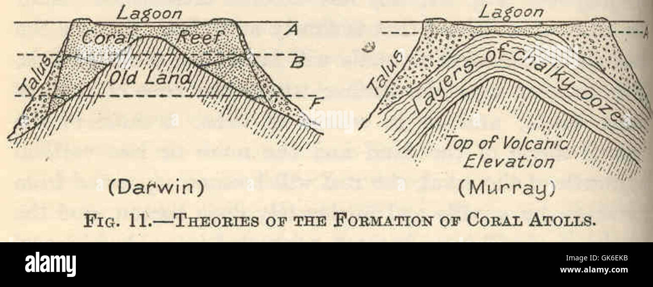 Theories regarding the formation of coral atolls, which are ring-shaped ...