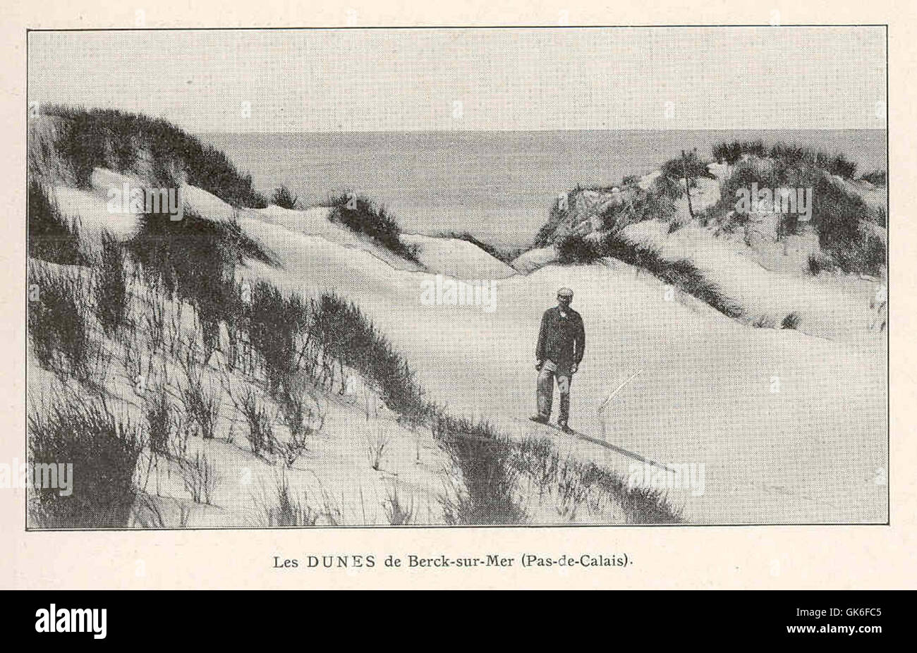 36821 Dunes de Berck-sur-Mer (Pas de Calais) Stock Photo