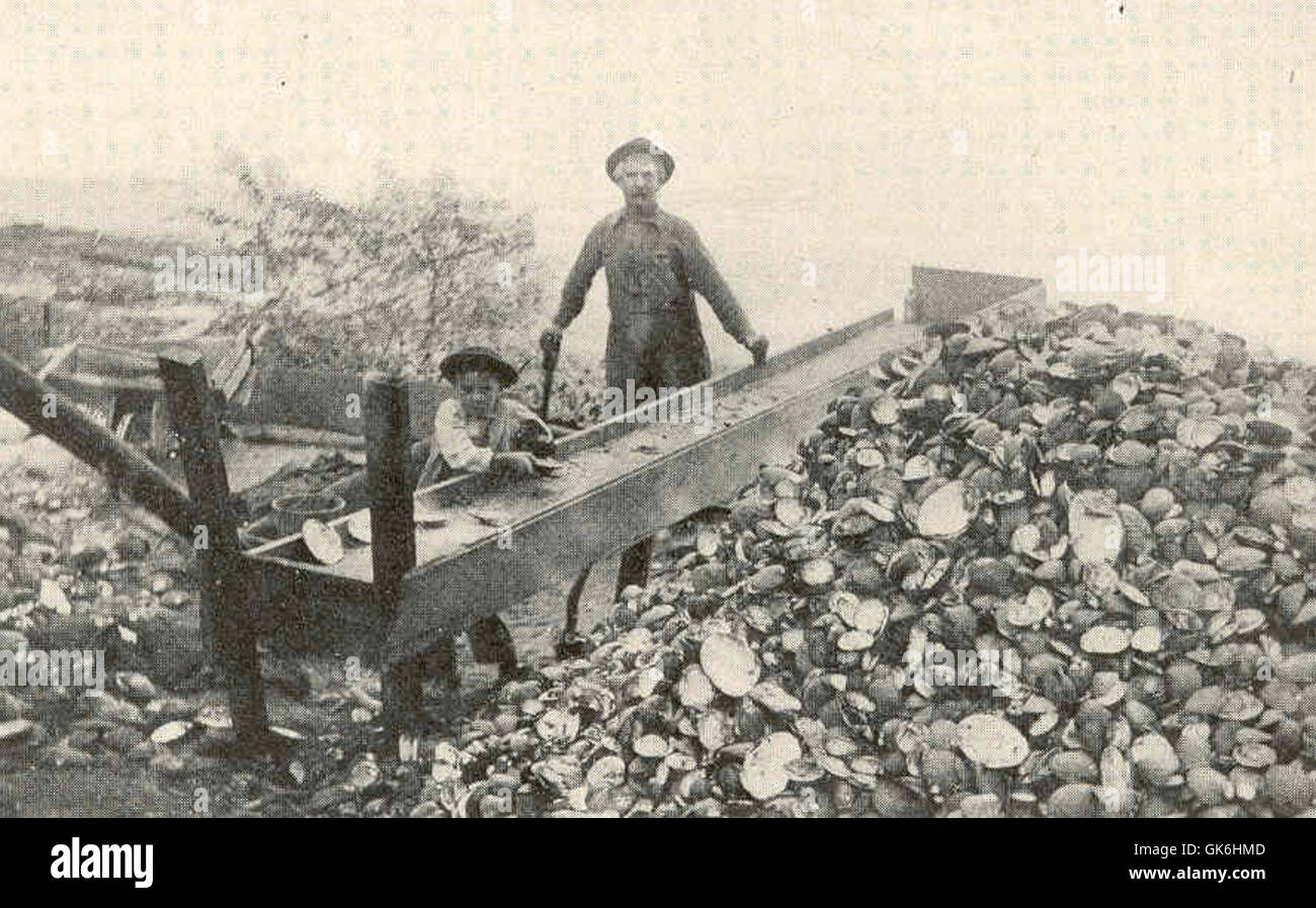 A sorting table with a pile of shells on the riverbank indicates a ...