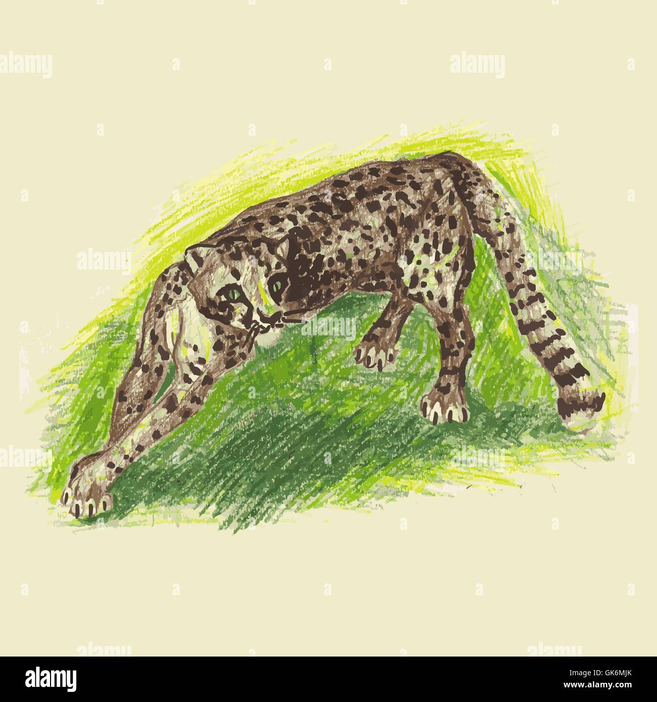 Wild cat, irbis, leopard, snow bars scetches in vector Stock Vector