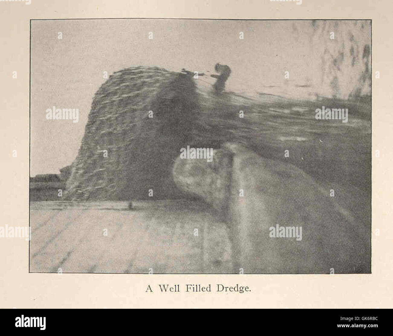 Shellfish Extraction A well-filled dredge is an important tool used in the extraction of ...