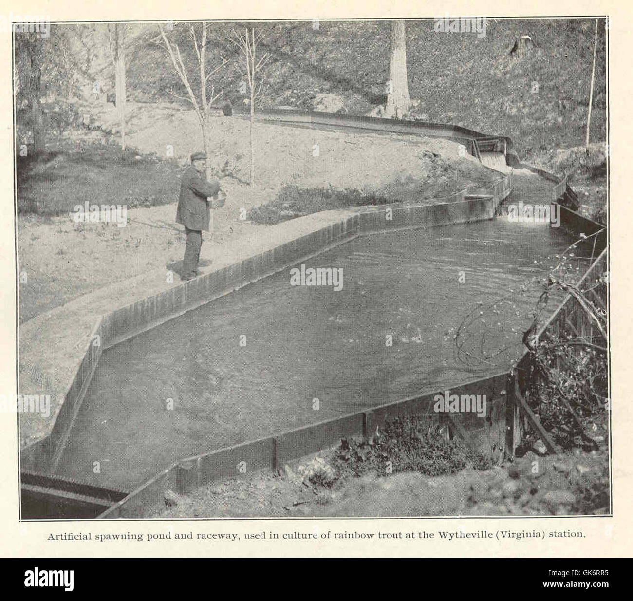 42340 Artificial spawning pond and raceway, used in culture of rainbow trout at the Wytheville (Virginia) station Stock Photo