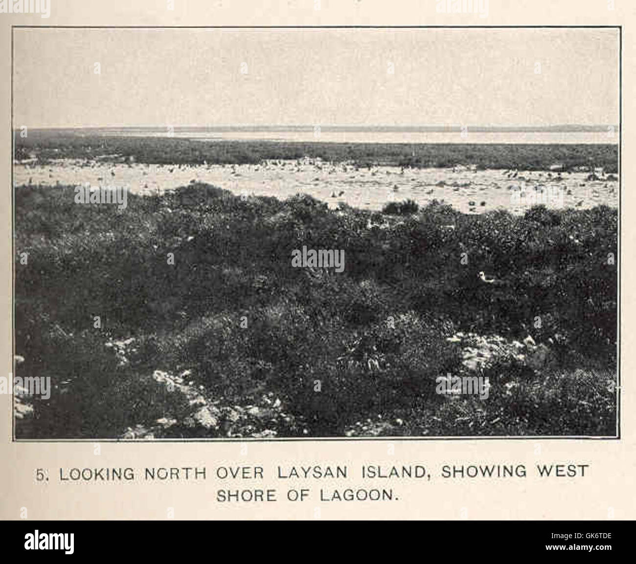 42769 Looking North over Laysan Island, showing west shore of lagoon Stock Photo