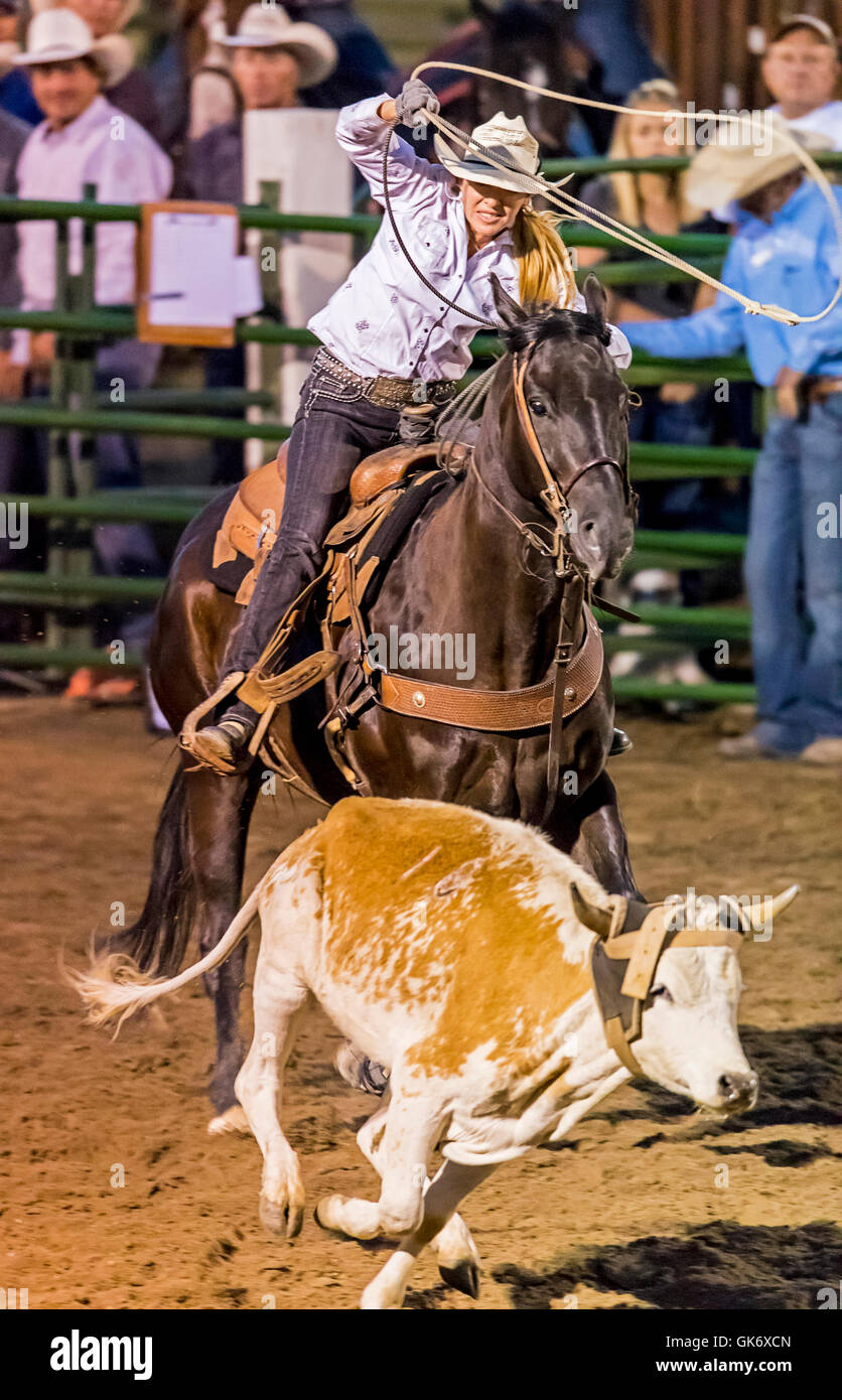 Rodeo cowgirl on horseback competing in calf roping, or tiedown roping