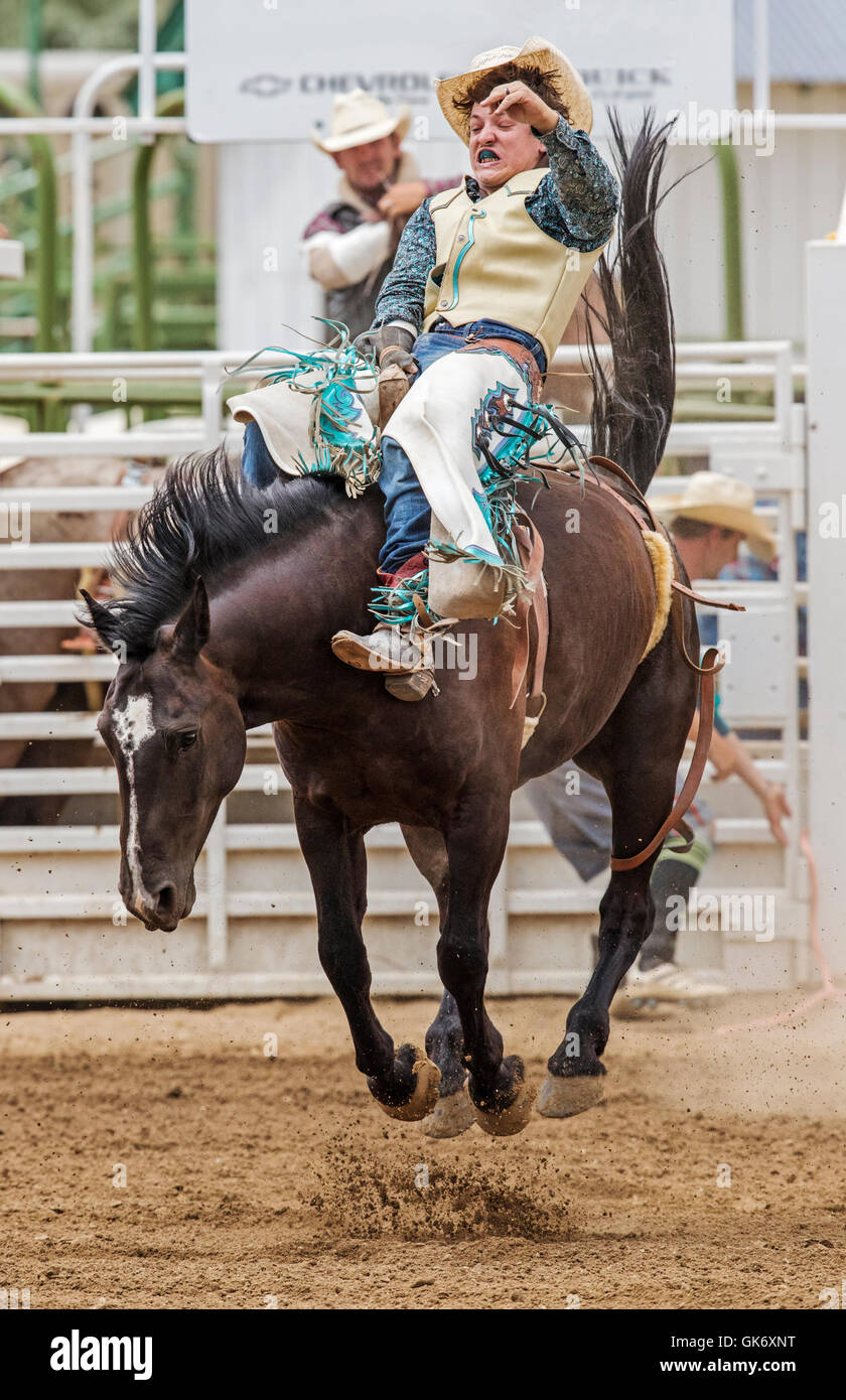 Bucking bronco ride stock hi-res stock photography and images - Alamy