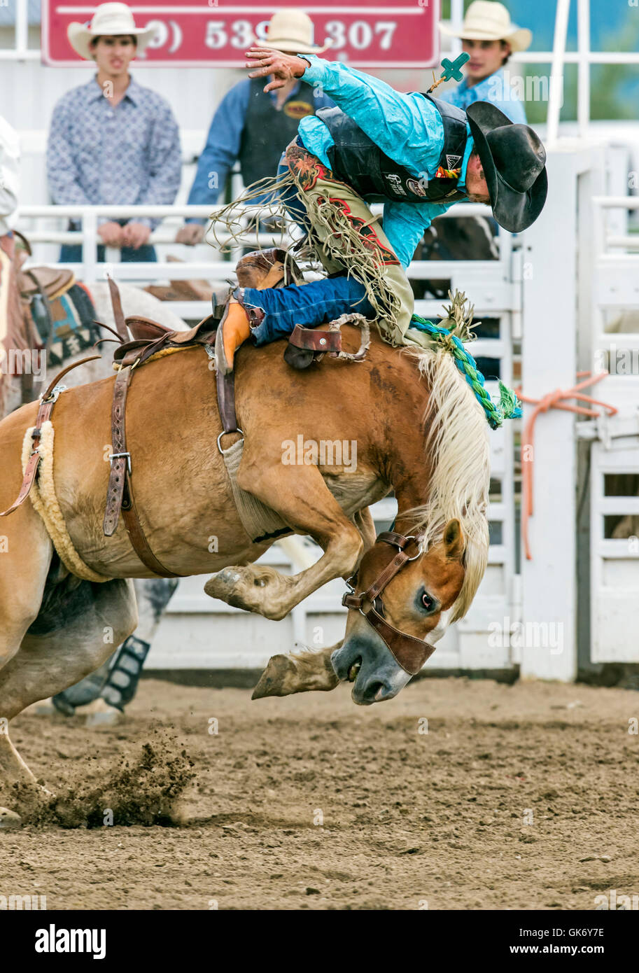Bucking bronco ride stock hi-res stock photography and images - Alamy