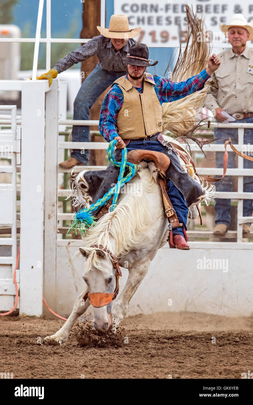 Rodeo cowboy riding a bucking horse, saddle bronc competition, Chaffee ...