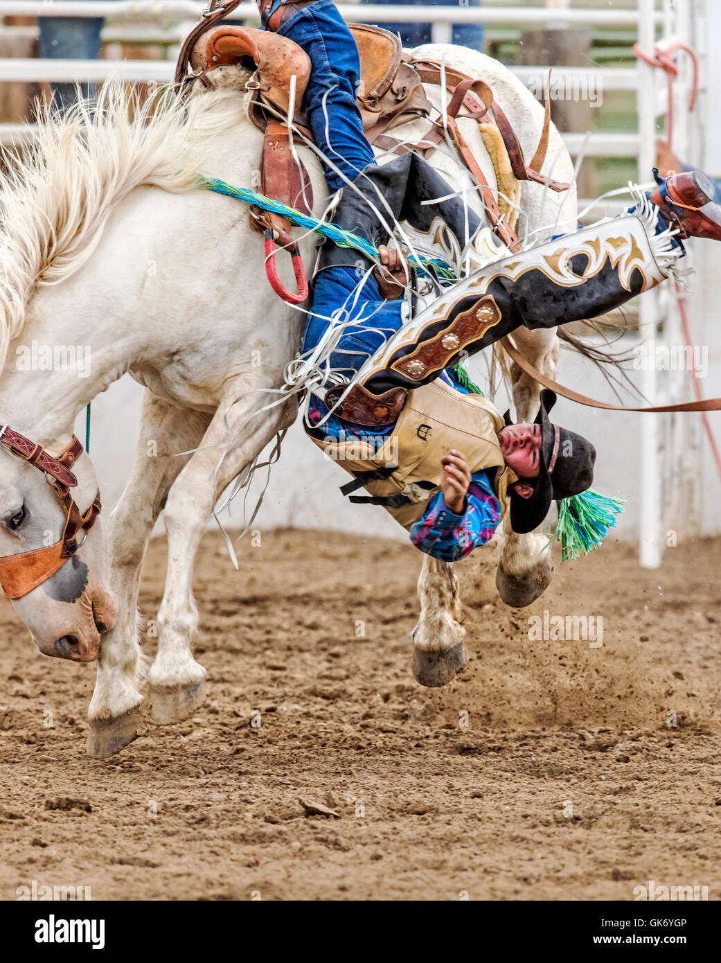 Rodeo cowboy riding a bucking horse, saddle bronc competition, Chaffee