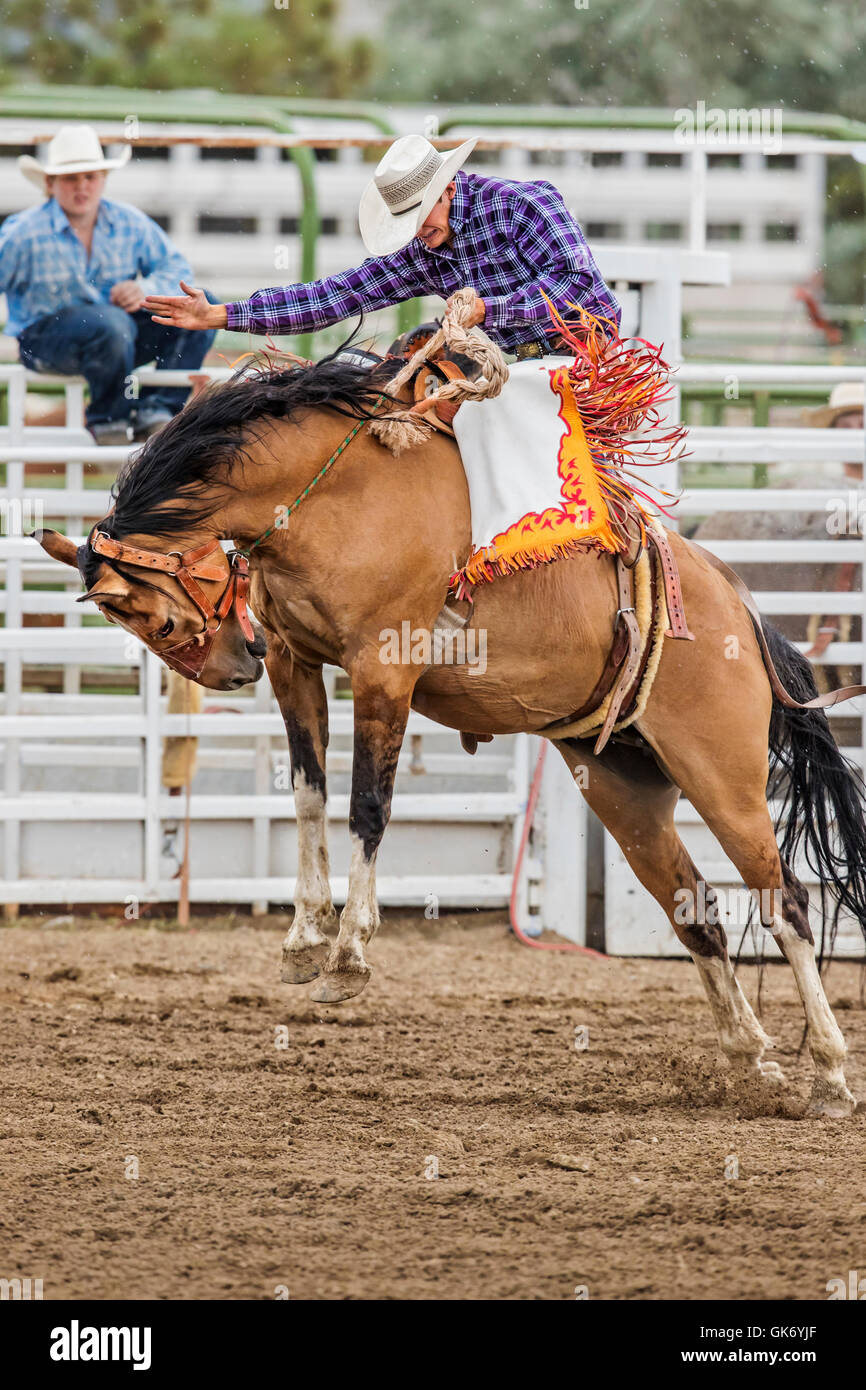 Horse Rider Rodeo Dare to hope horse hi-res stock photography and images - Alamy