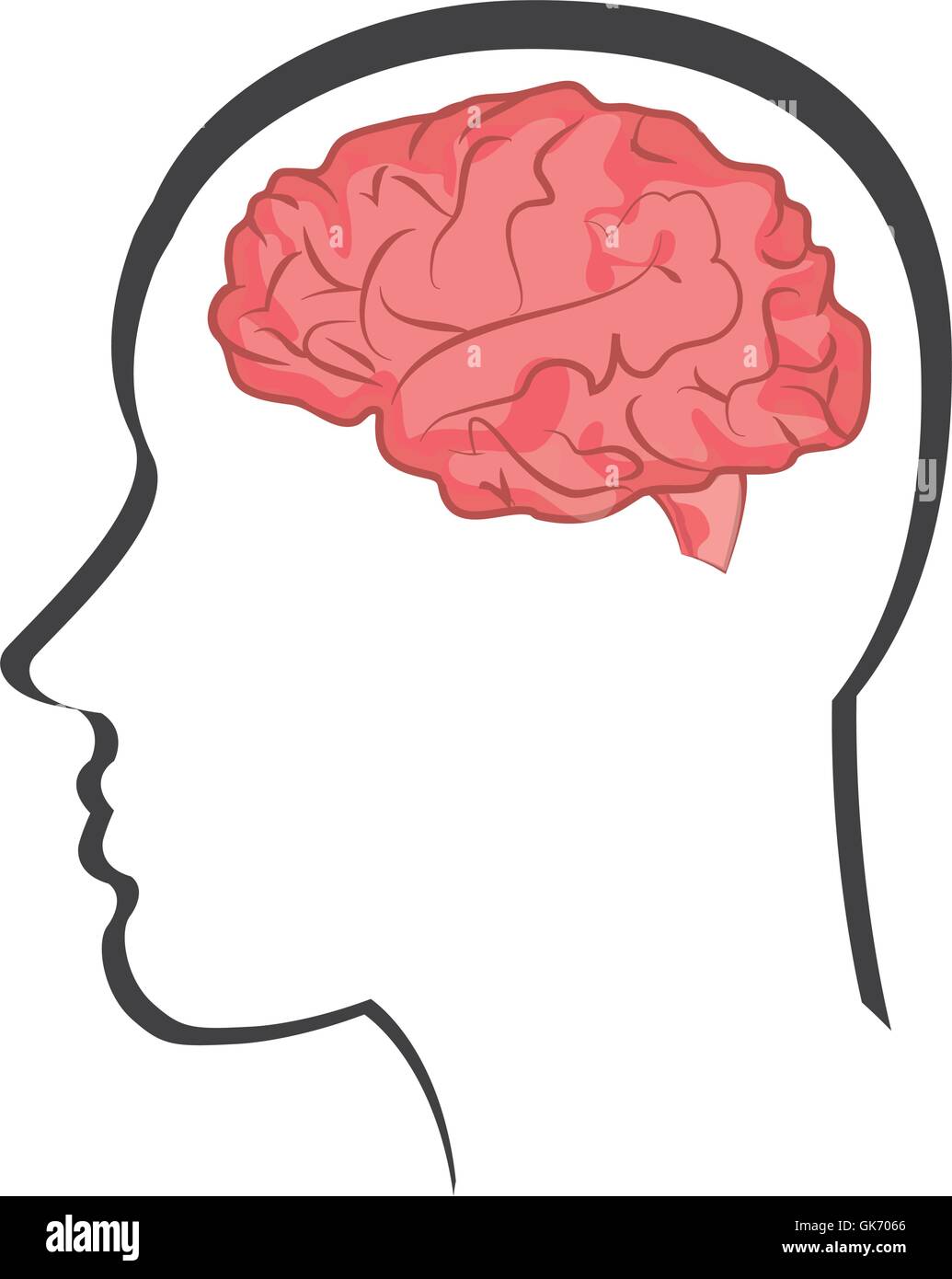 human brain in head icon Stock Vector Image & Art - Alamy
