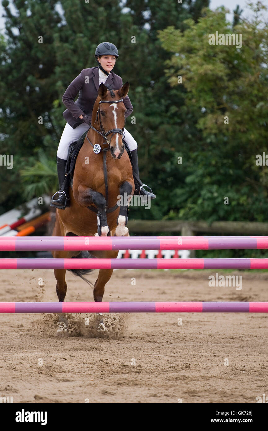 bounce on horse