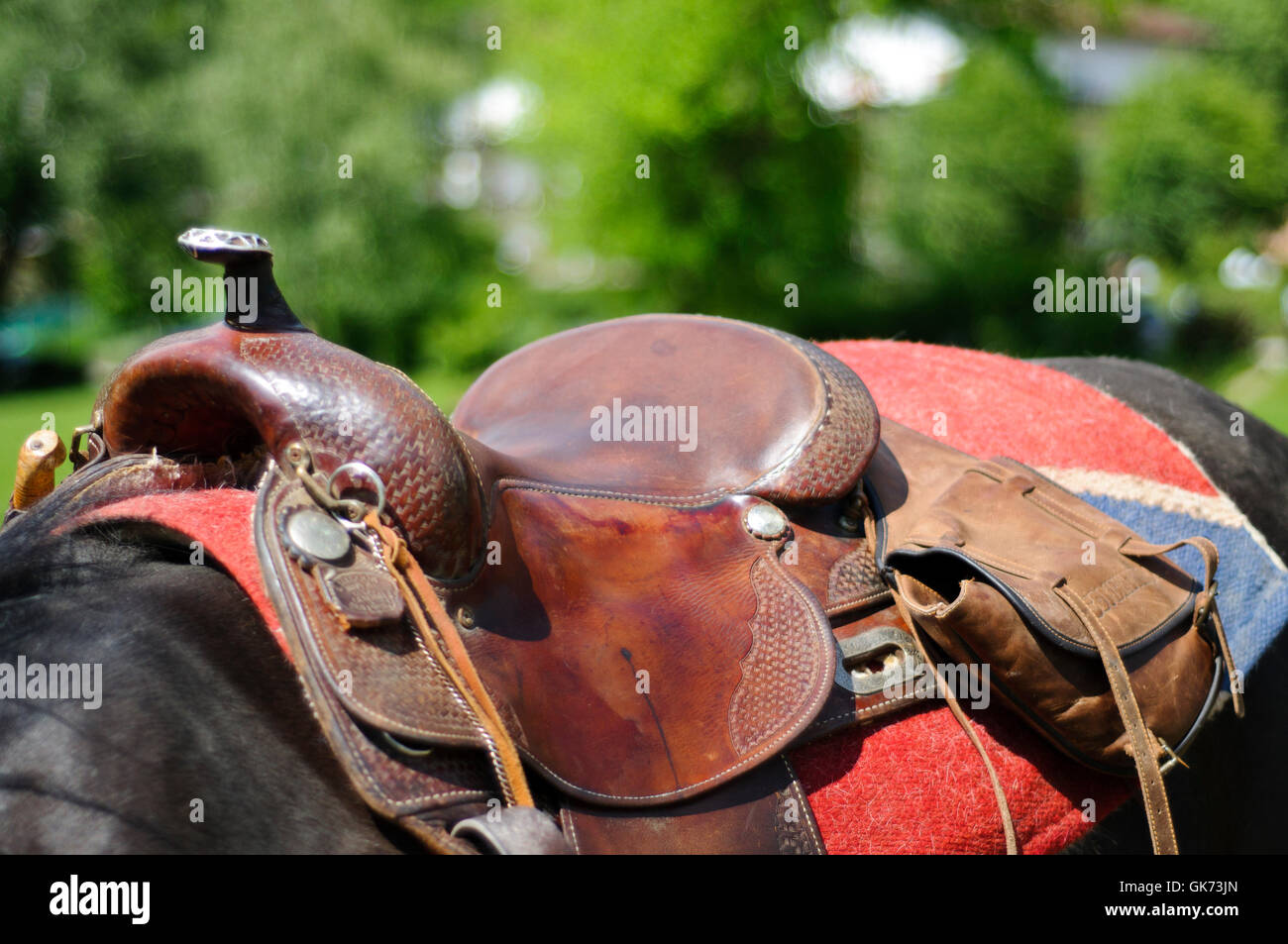 horse riding bridle Stock Photo Alamy