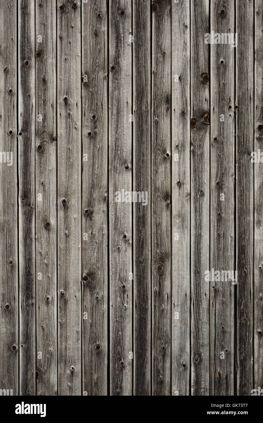 wood vein weatherworn Stock Photo