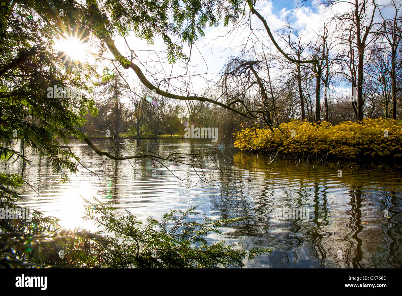Green tree sun park hi-res stock photography and images - Alamy