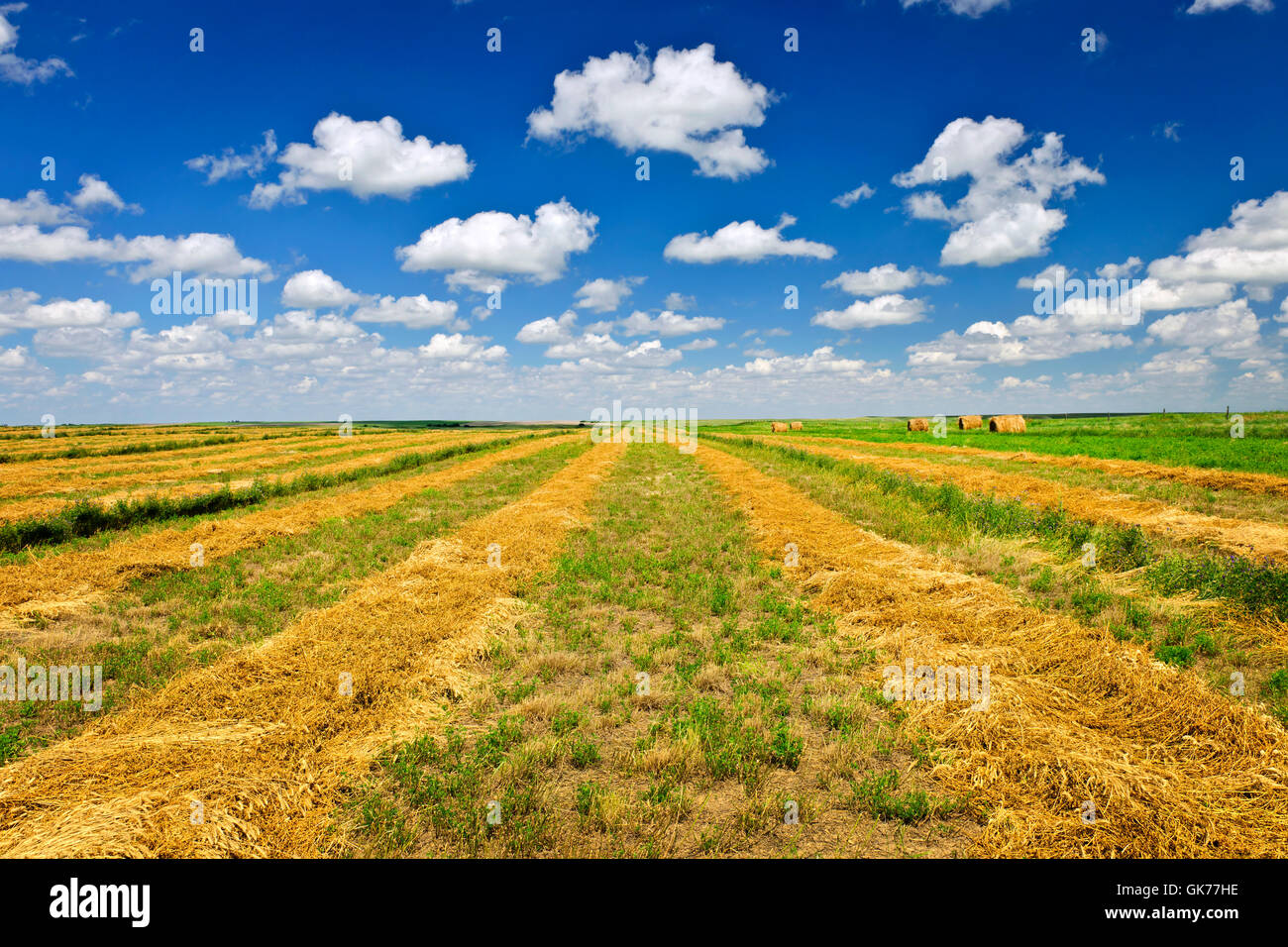 agricultural agriculture farming Stock Photo