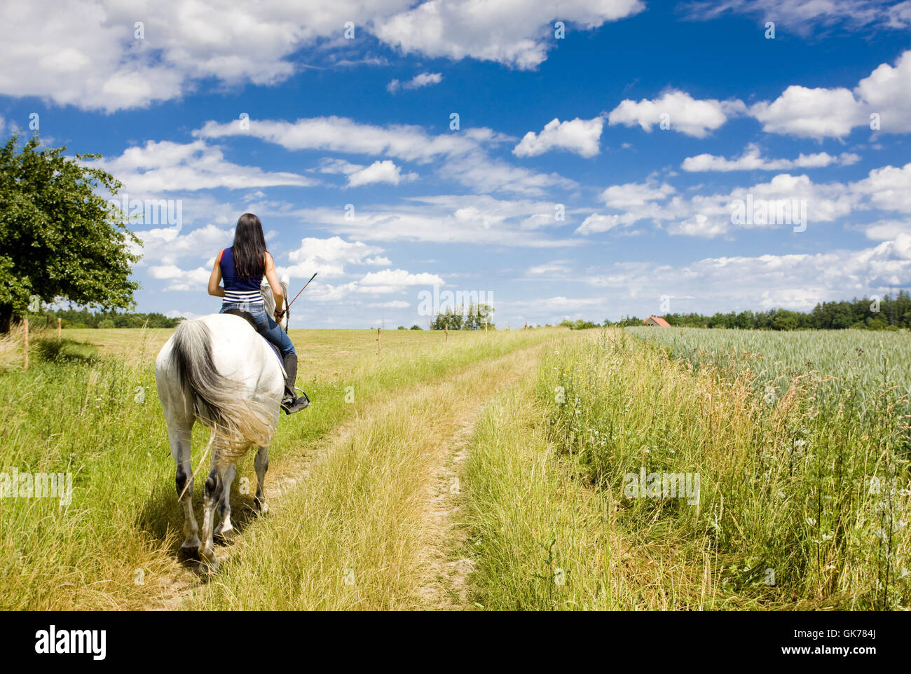 Equestrian woman hires stock photography and images Alamy