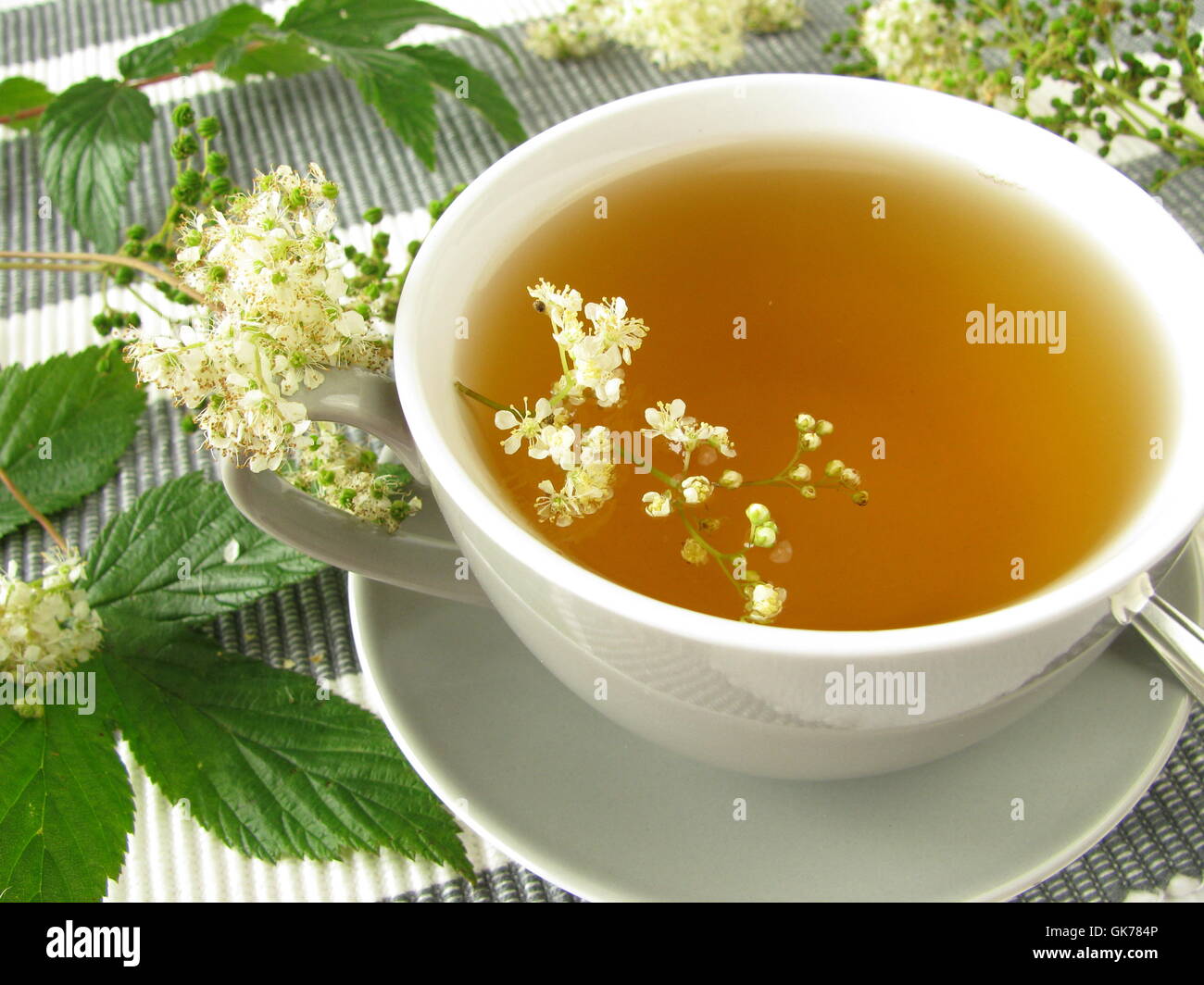 meadowsweet tea Stock Photo