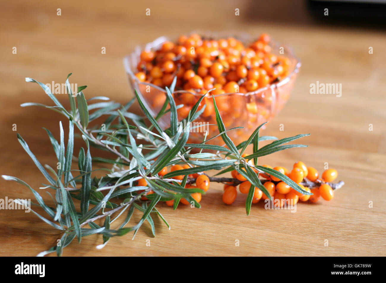 branches berries sallow thorn Stock Photo