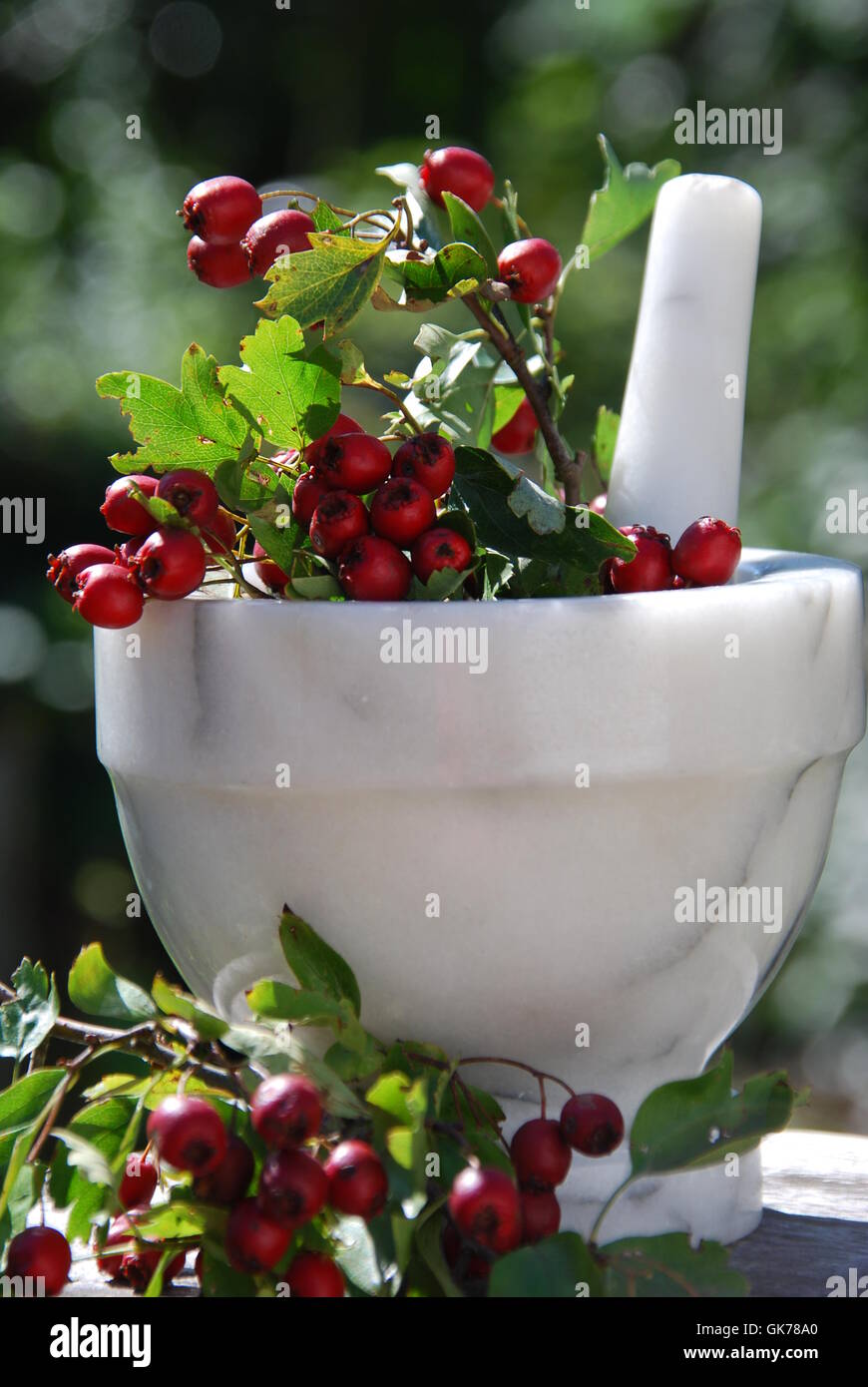 fruit medicinal plant health Stock Photo