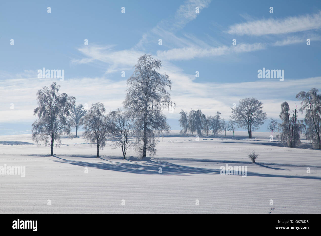 Tree trees winter fields hi-res stock photography and images - Alamy