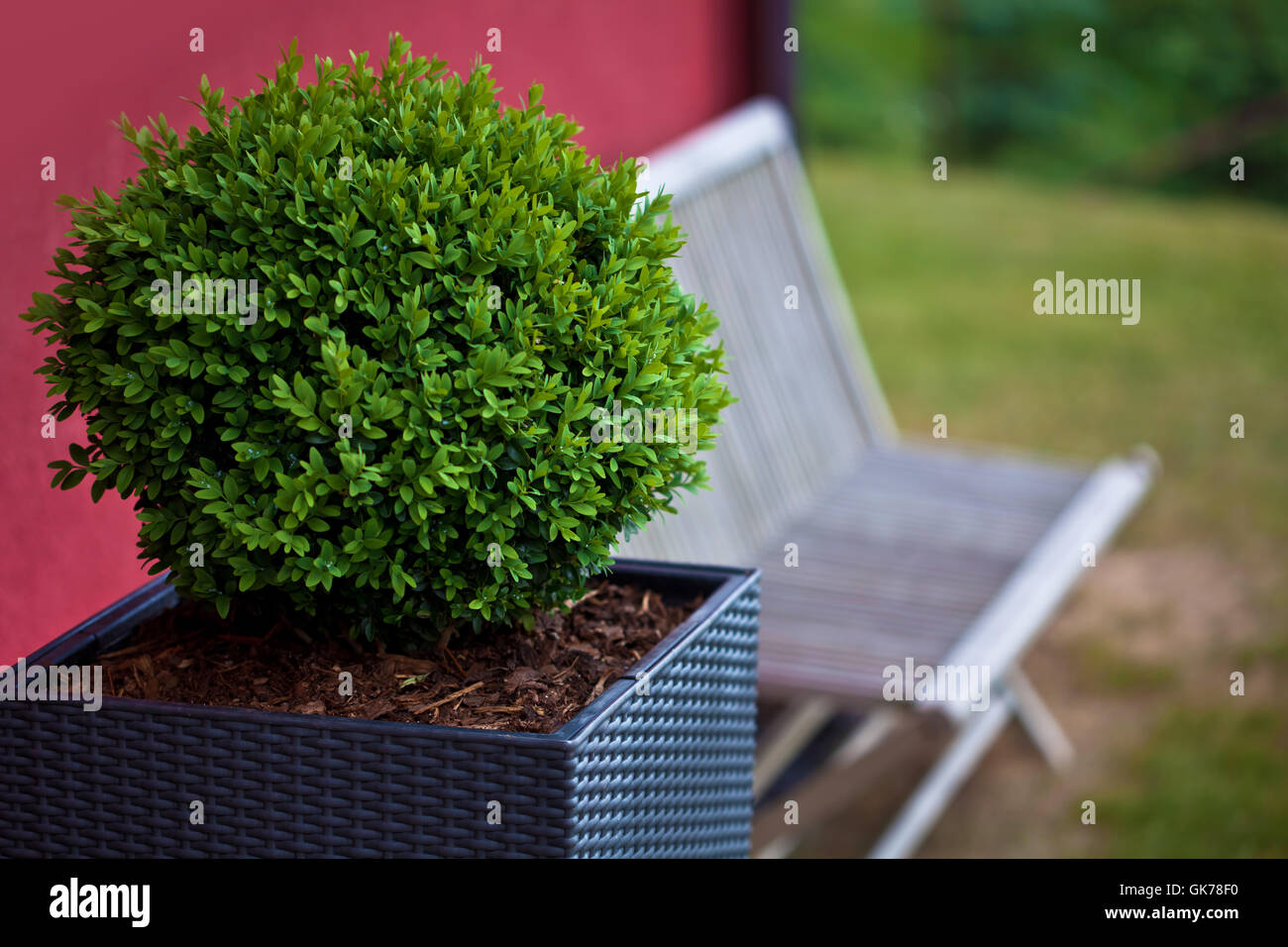 house building garden Stock Photo
