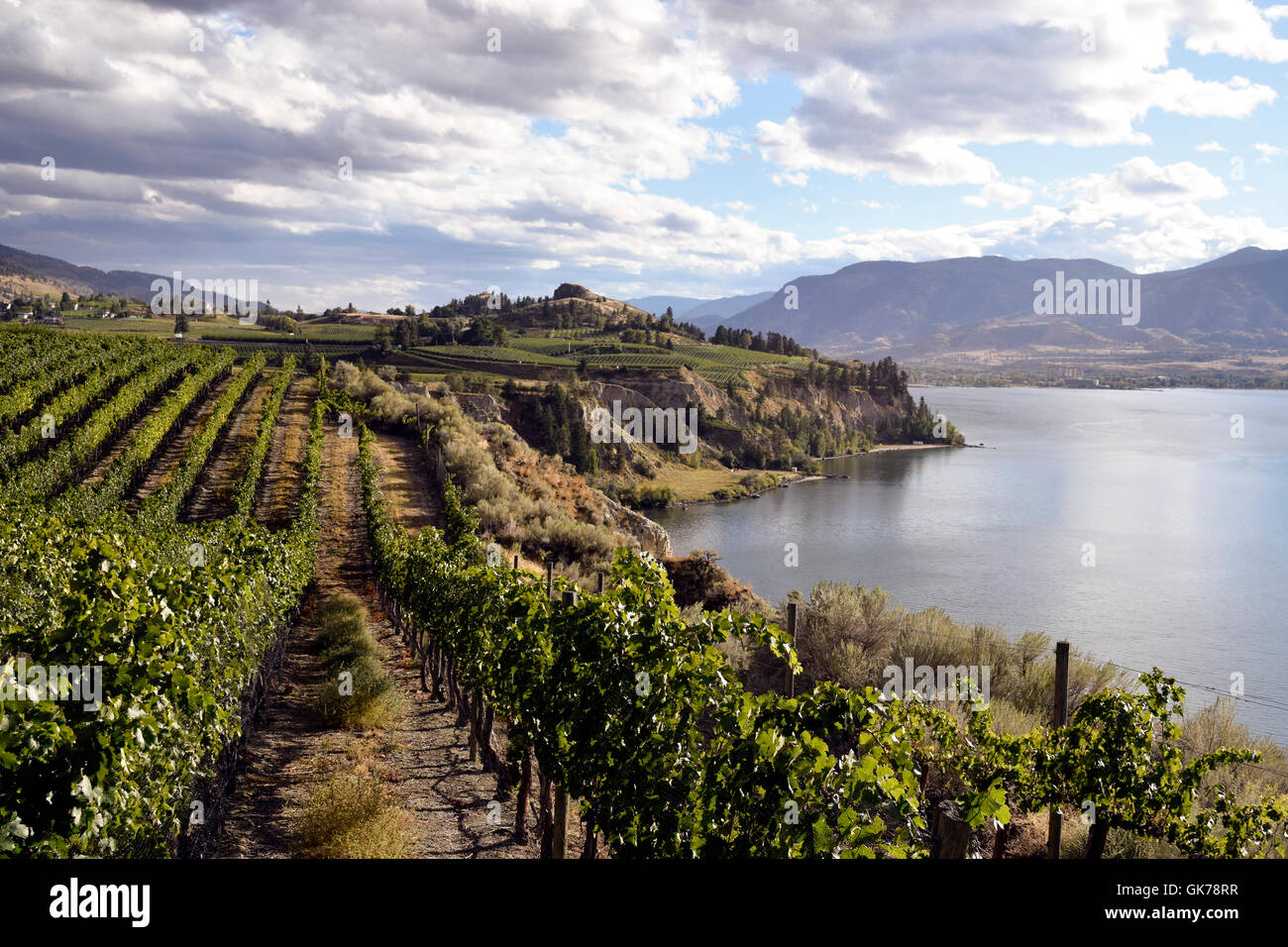 Okanagan Valley winery vineyards Naramata and Penticton, British