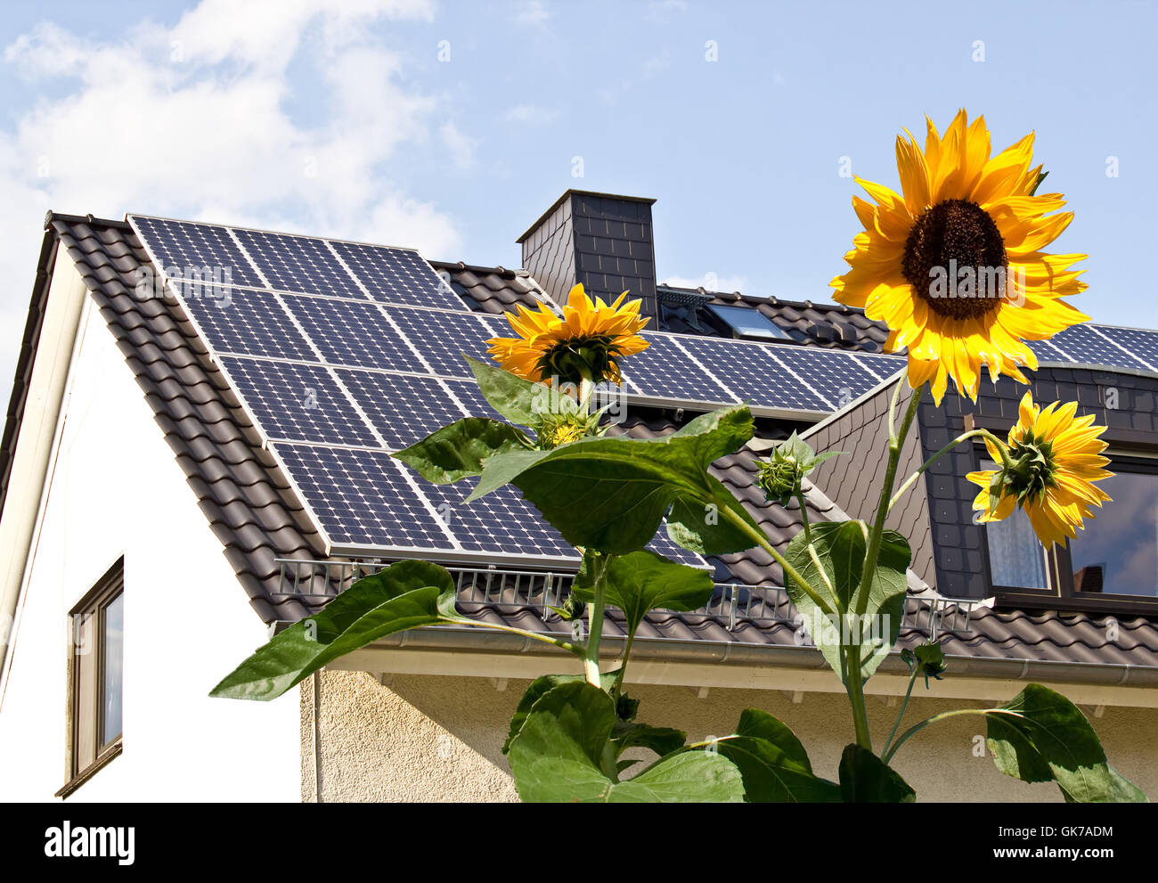 solar panels on house roof behind sunflower Stock Photo
