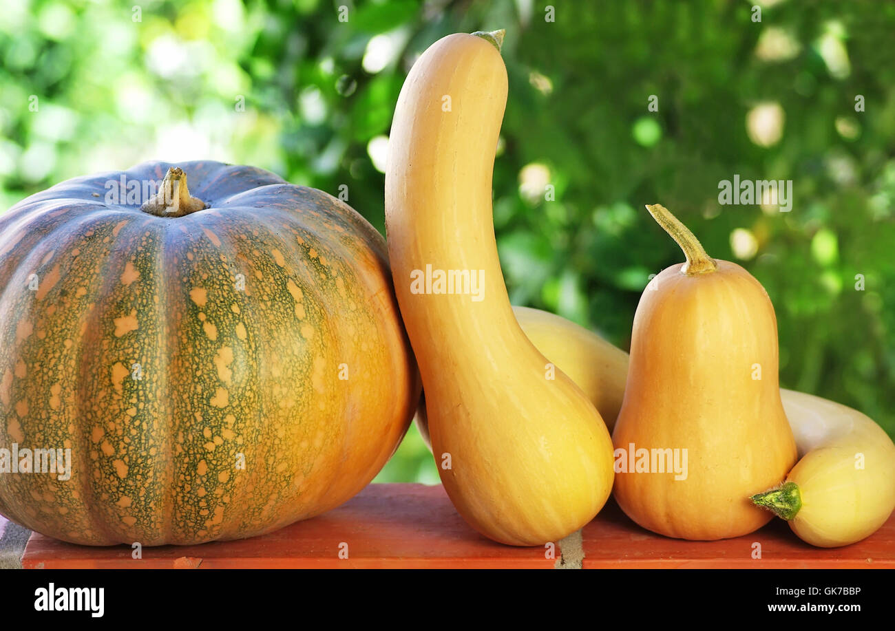  isolated small tiny Stock Photo - Alamy