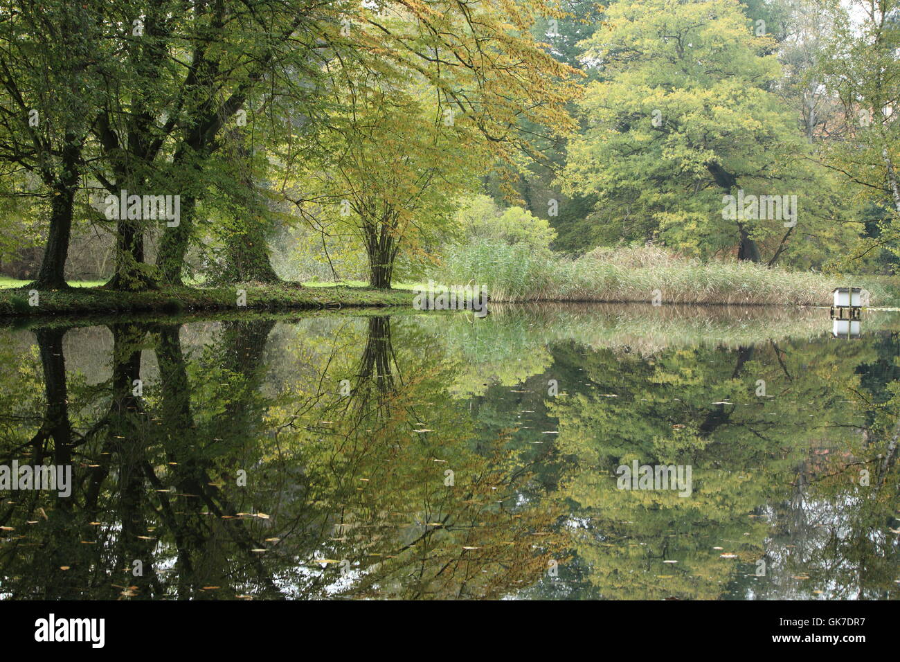 water reflection in autumn lake Stock Photo - Alamy