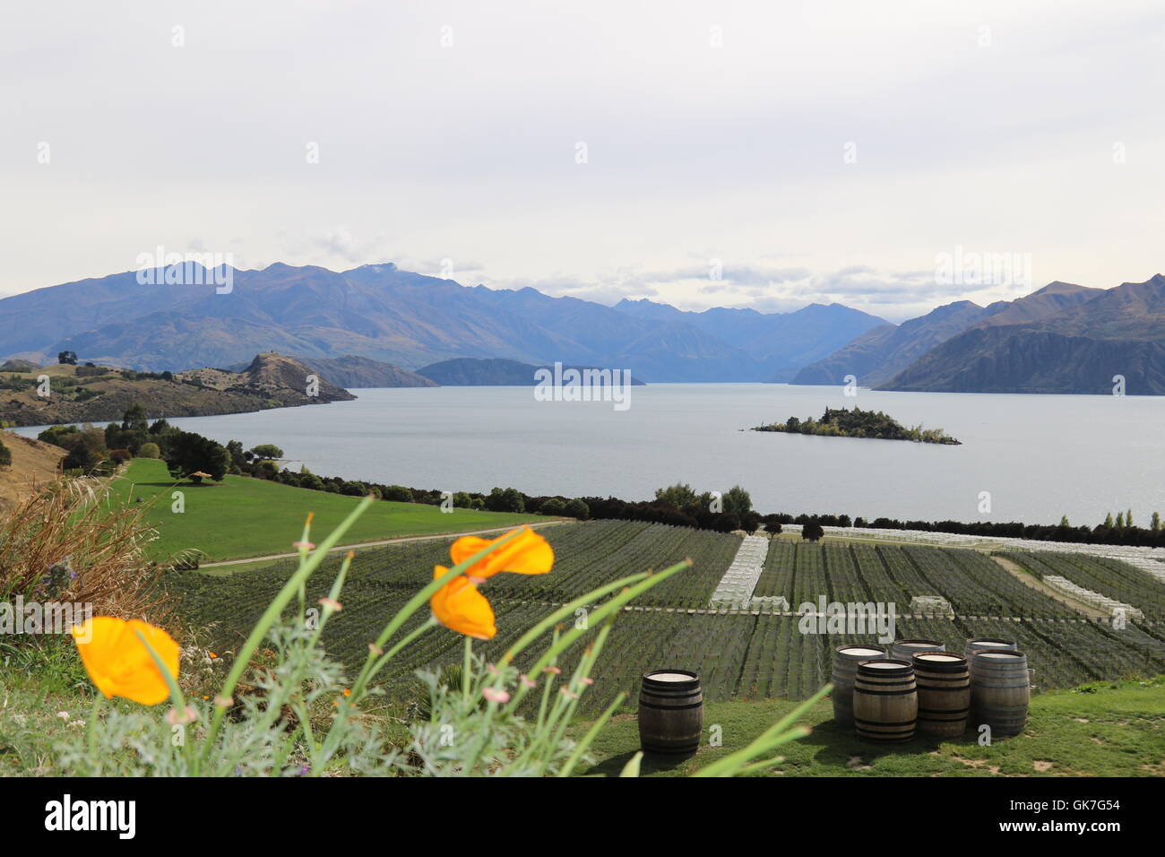 View of Lake Wanaka from Rippon Vineyard, Lake Wanaka, New Zealand Stock Photo