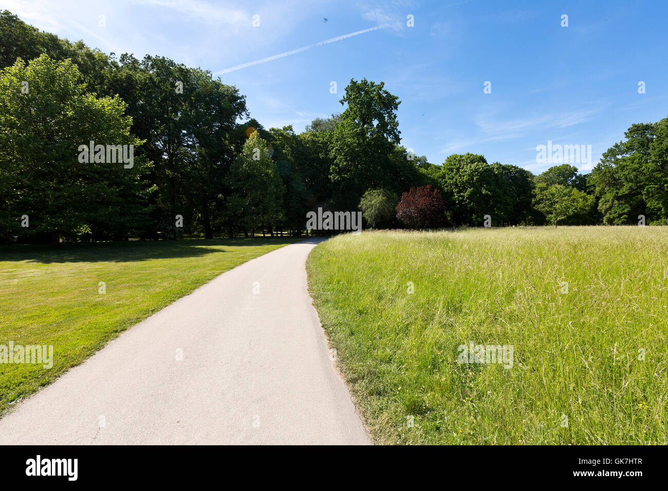 Summer landscape with green grass, road and clouds Stock Photo - Alamy