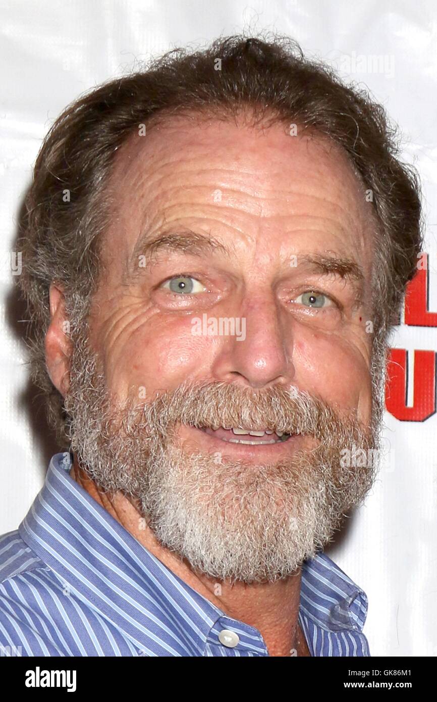 Los Angeles, CA, USA. 18th Aug, 2016. Darby Hinton at arrivals for