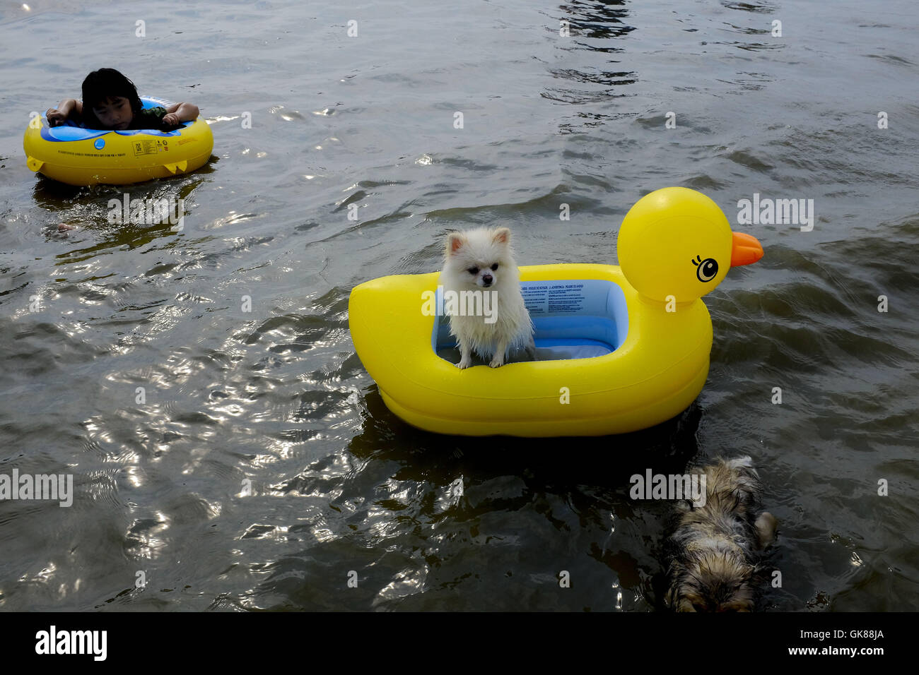 GK88 Win A Comprehensive Guide to Understanding the Phenomenon