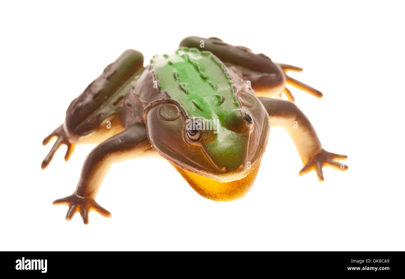 Frog isolated Stock Photo