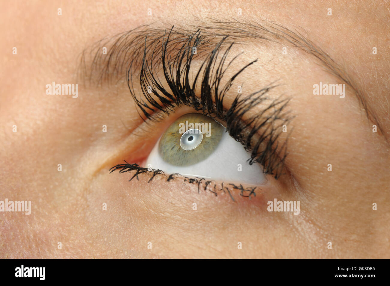 Female eye close up Stock Photo Alamy