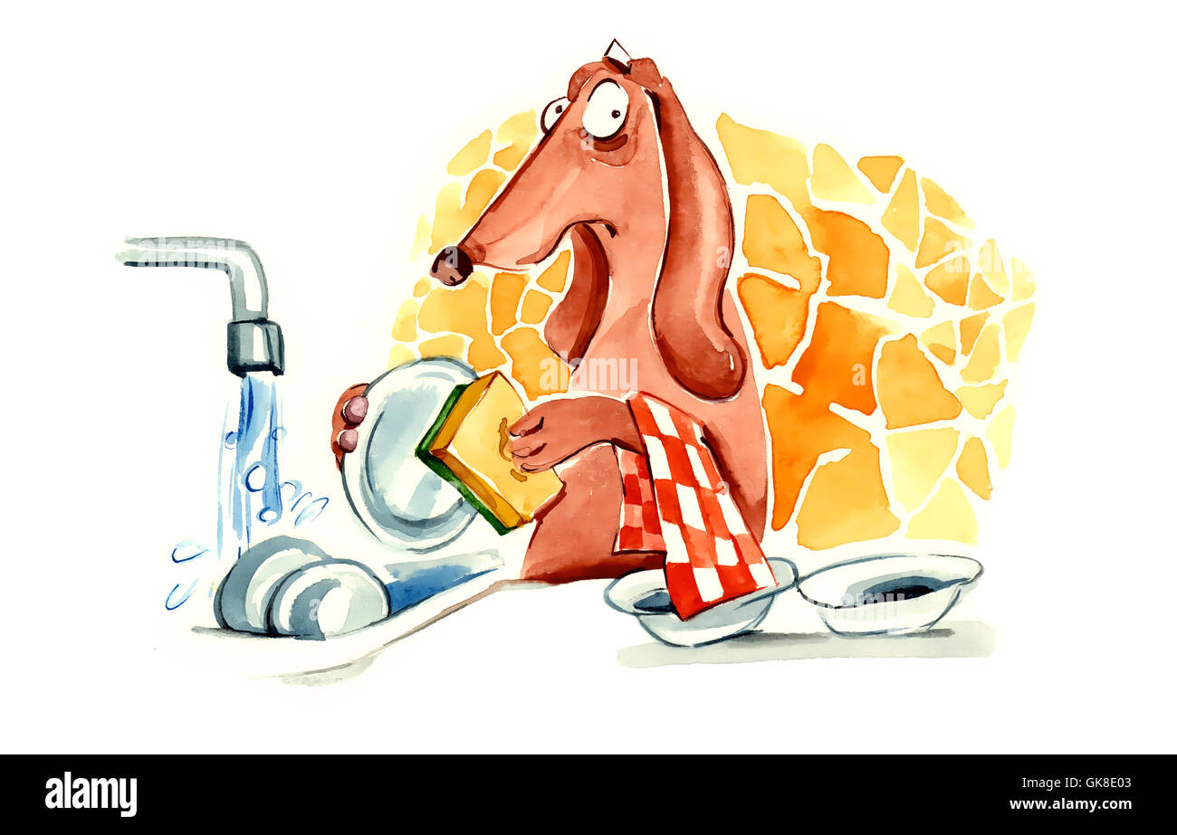 dog washing the dishes Stock Photo Alamy