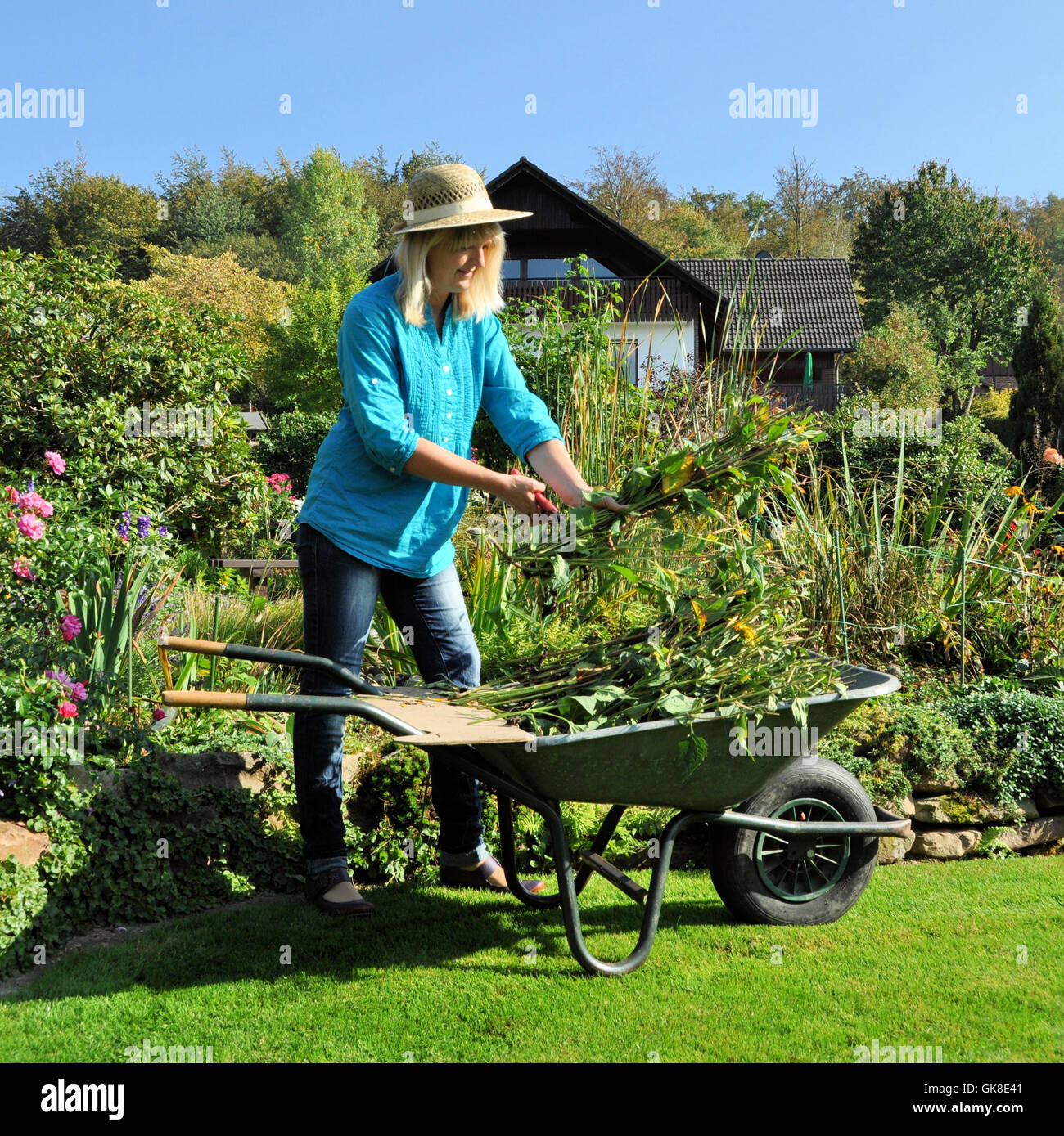 woman garden gardening Stock Photo