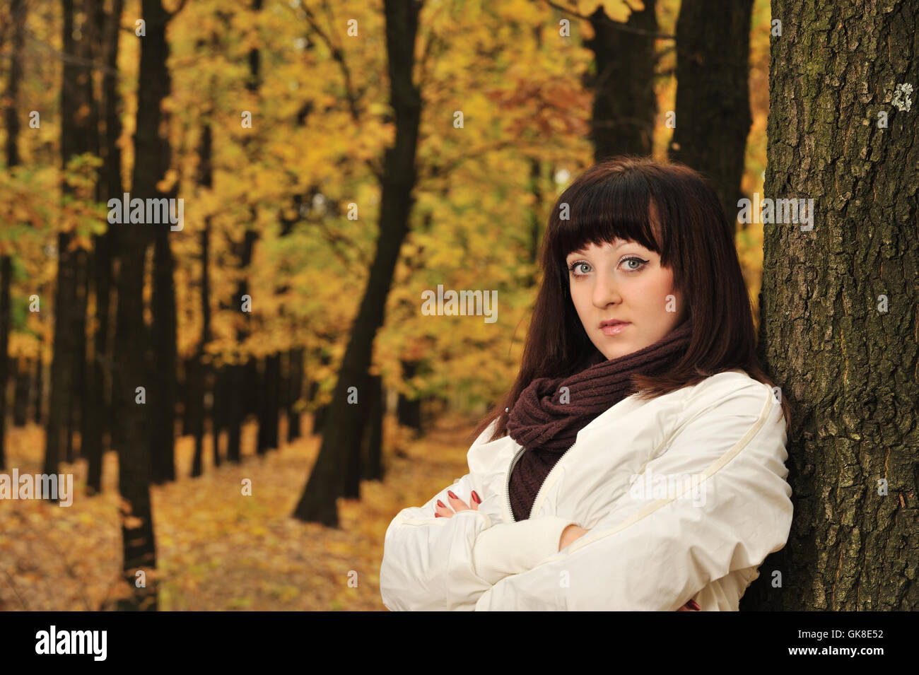 The girl in an autumn forest Stock Photo - Alamy