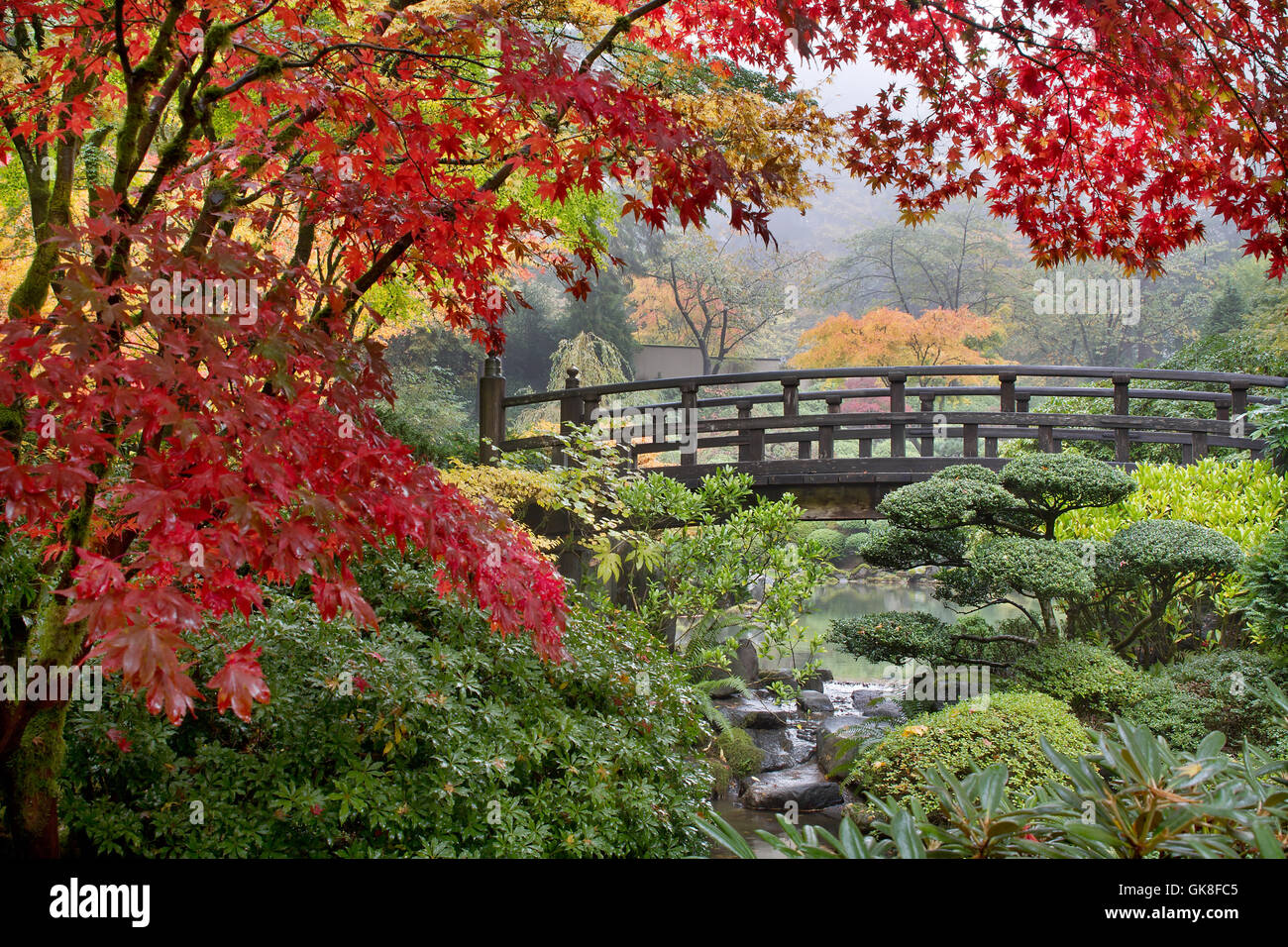 tree trees garden Stock Photo Alamy