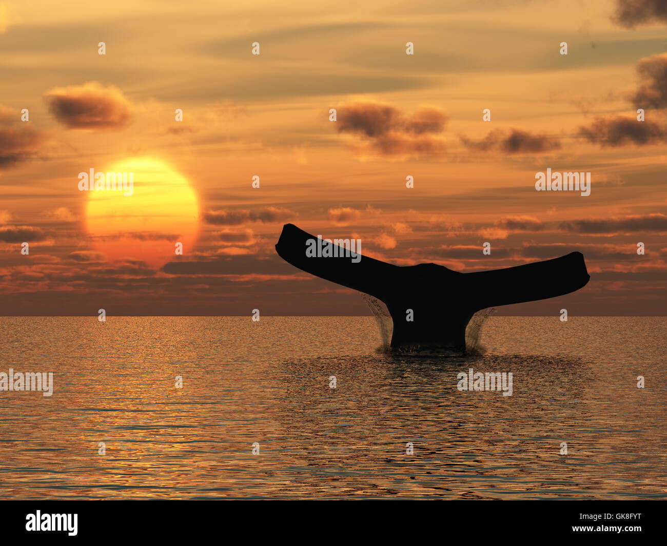 Humpback whale silhouette hi-res stock photography and images - Alamy