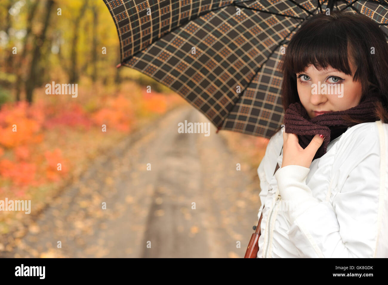 The girl in an autumn wood with a umbrella Stock Photo - Alamy