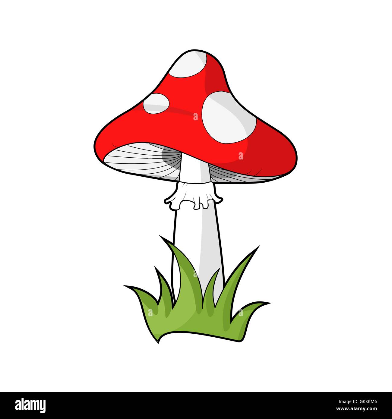 Poisonous red dotted mushroom, known as amanita muscaria or fly agaric or toadstool. Vecor. Isolated on white. Illustration. Stock Vector