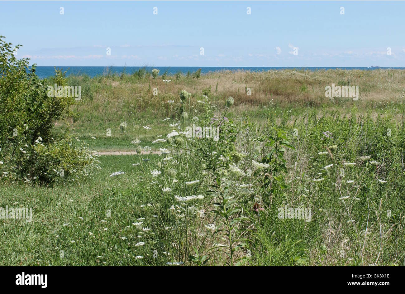 A restored prairie on the shores of Lake Michigan, in Chicago, IL Stock Photo