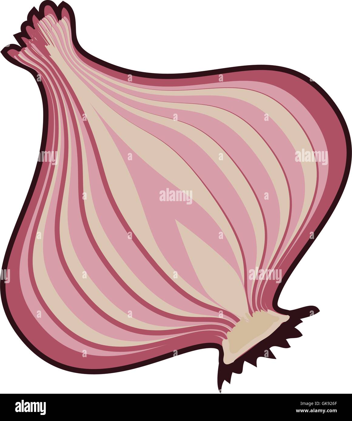 Onion grow in agriculture Stock Vector Images - Alamy