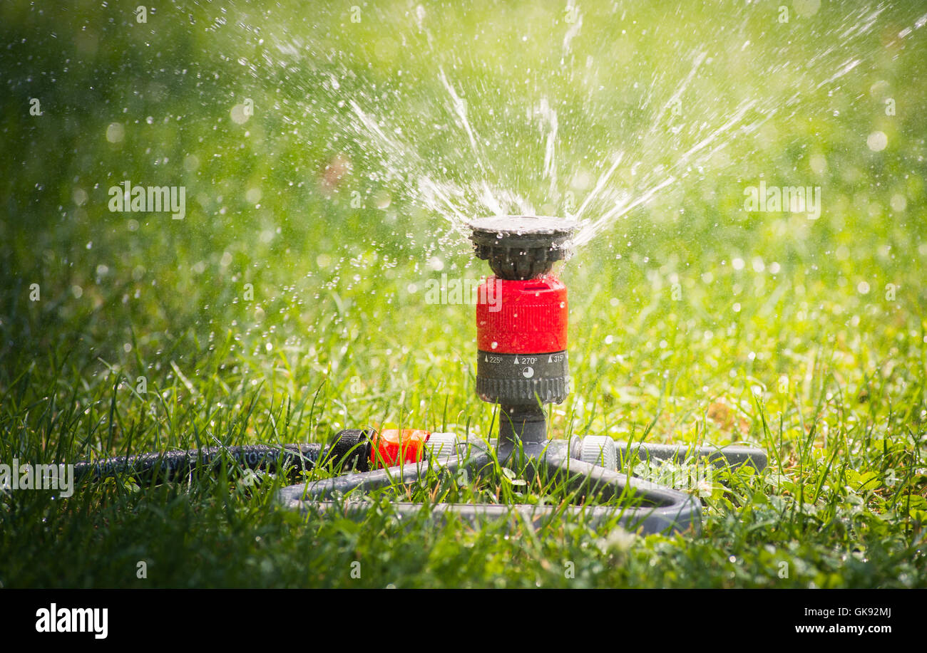 Sprinkler head spraying water hires stock photography and images Alamy