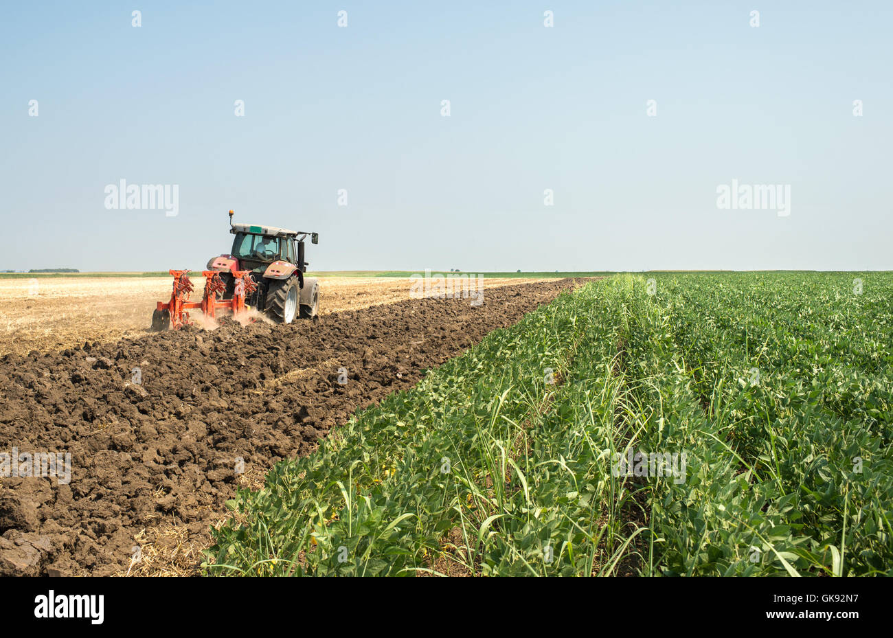 Soybean stubble hi-res stock photography and images - Alamy