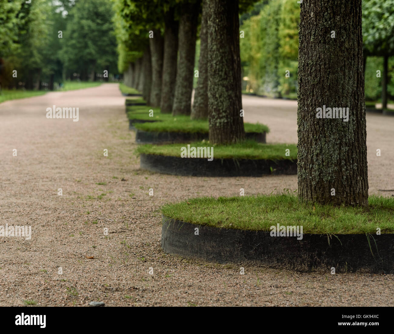 gardening and beautiful smooth trimmed trees in the Park Stock Photo